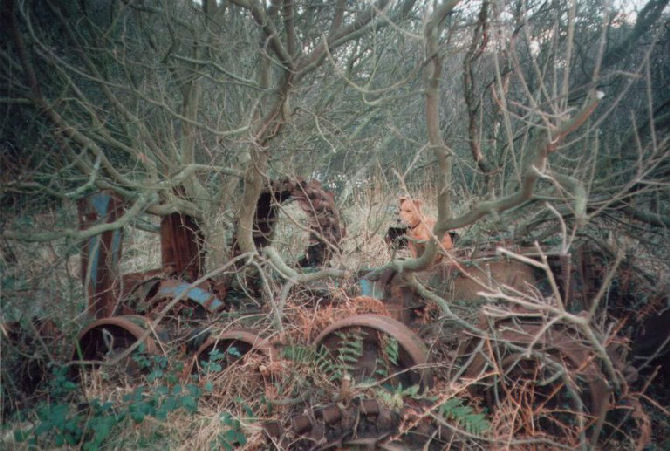 Remains of the Vicker Cat