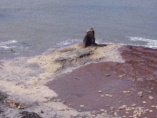 Black Nab with the sea breaking on reef behind